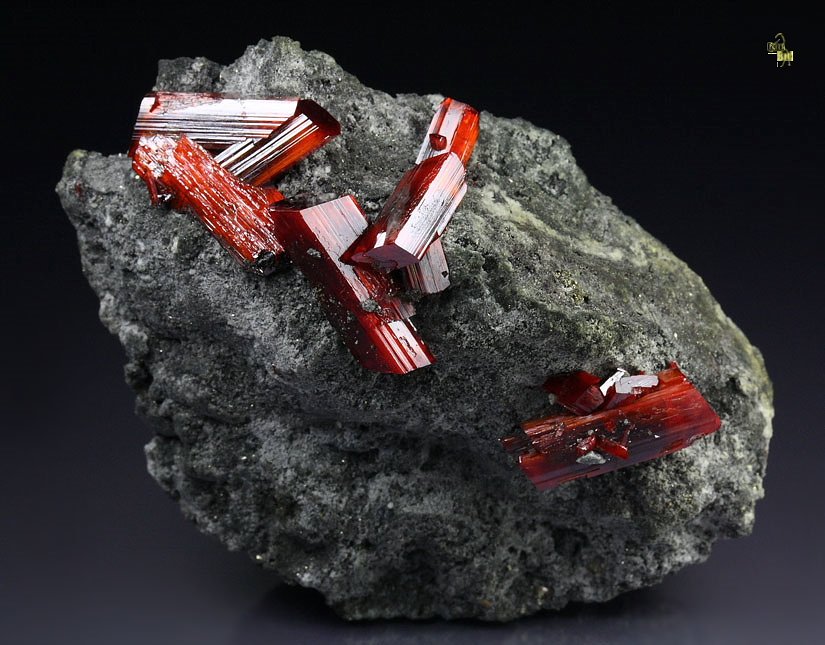 REALGAR