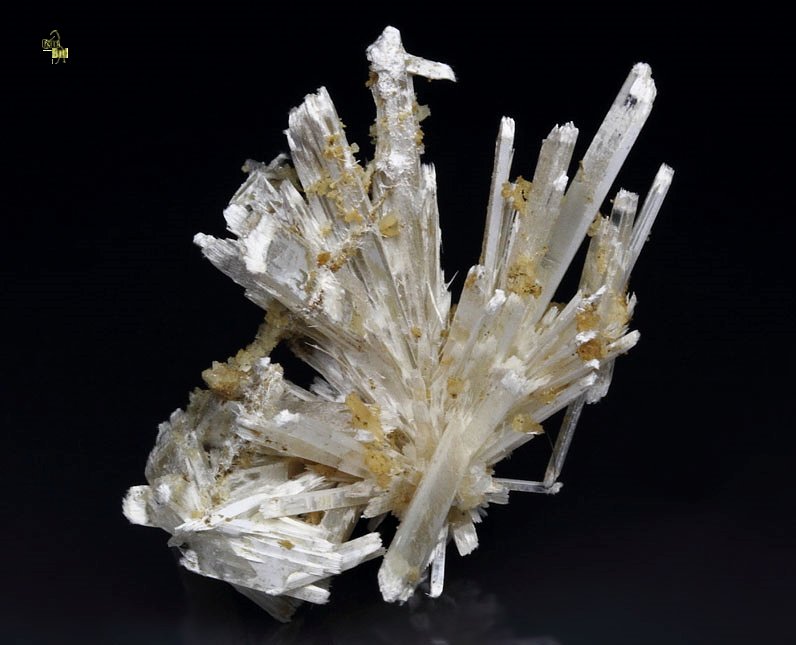 PECTOLITE floater