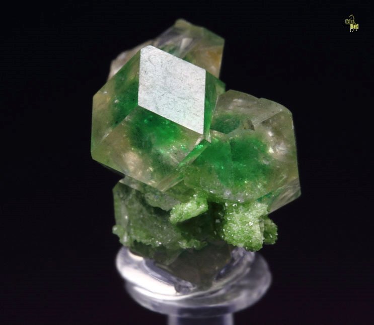 gem GARNET var. GROSSULAR with GREEN CHROMIAN PHANTOMS, DIOPSIDE