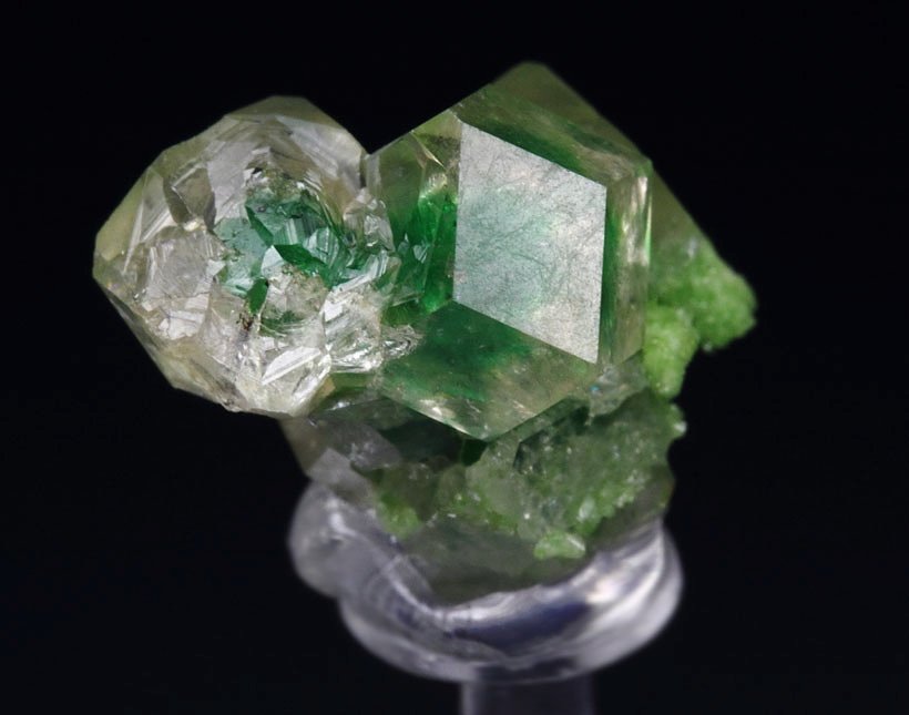 gem GARNET var. GROSSULAR with GREEN CHROMIAN PHANTOMS, DIOPSIDE