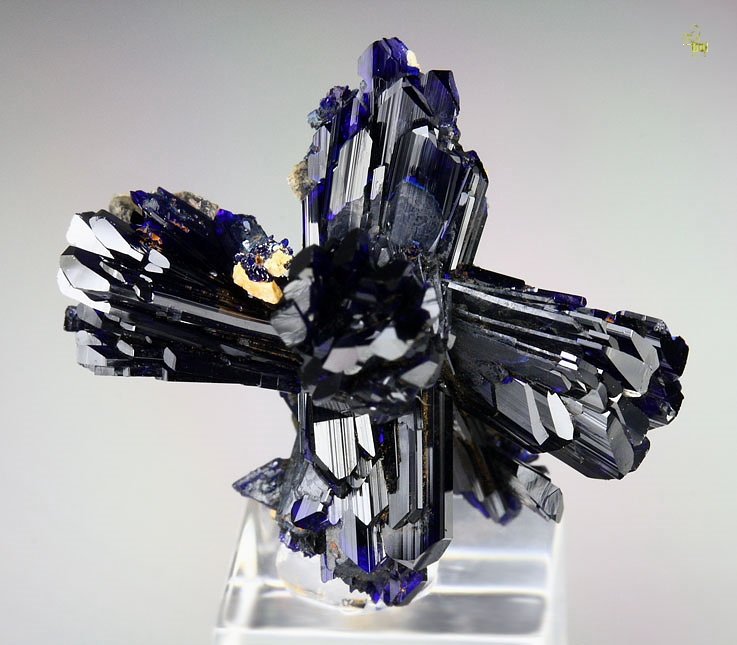 AZURITE bow-ties