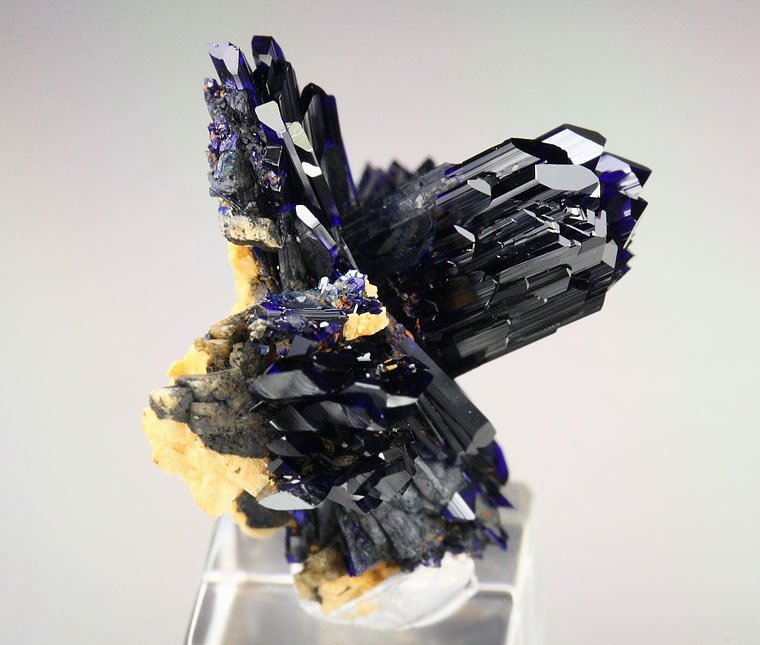 AZURITE bow-ties