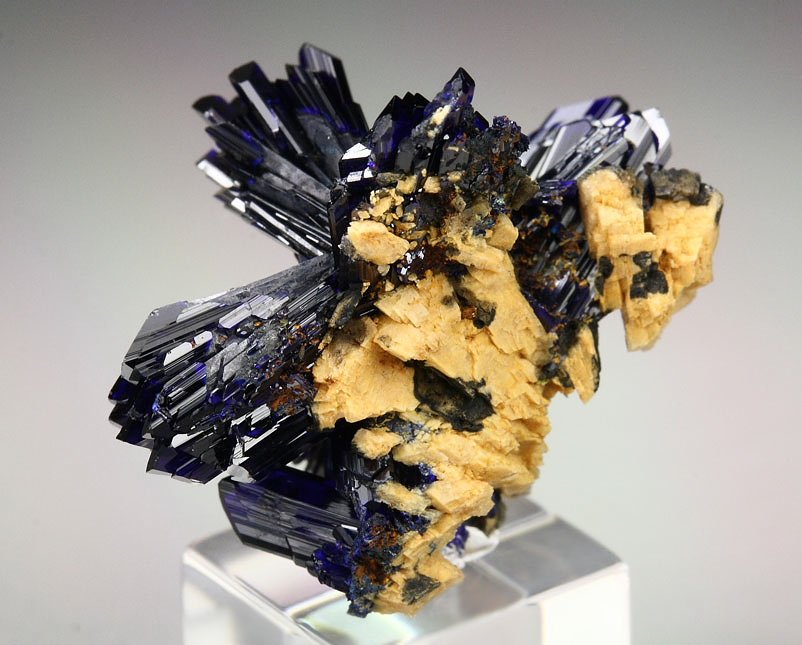 AZURITE bow-ties