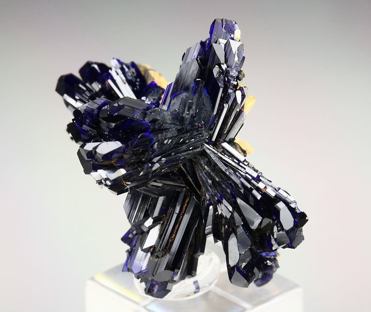 AZURITE bow-ties