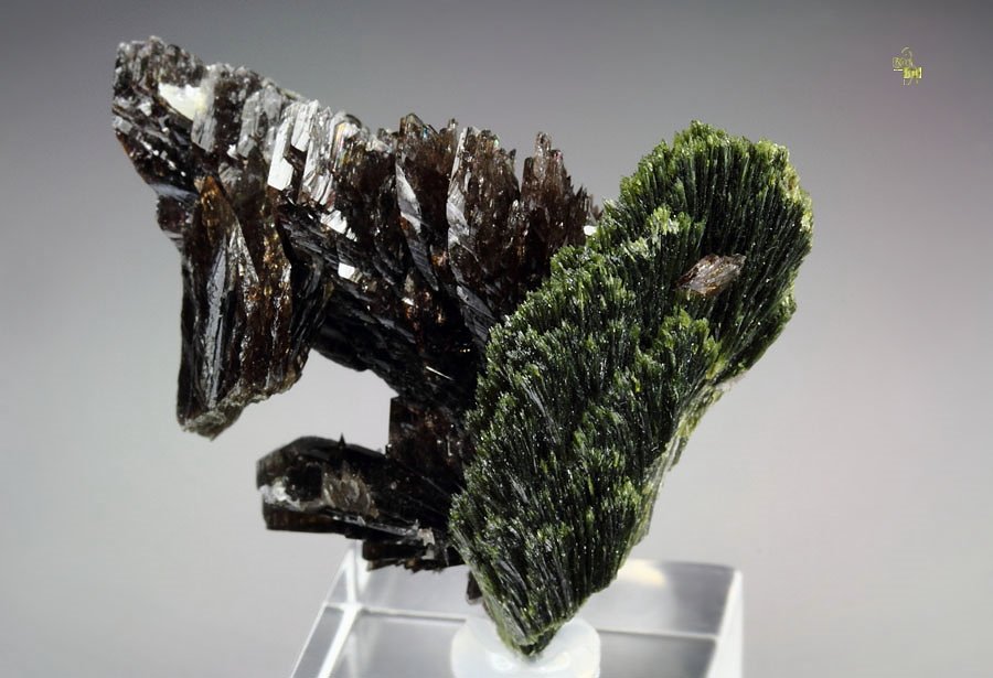 new find - AXINITE-Fe, EPIDOTE