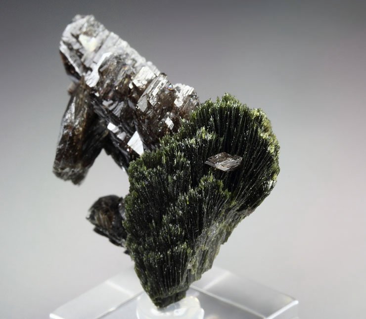 new find - AXINITE-Fe, EPIDOTE