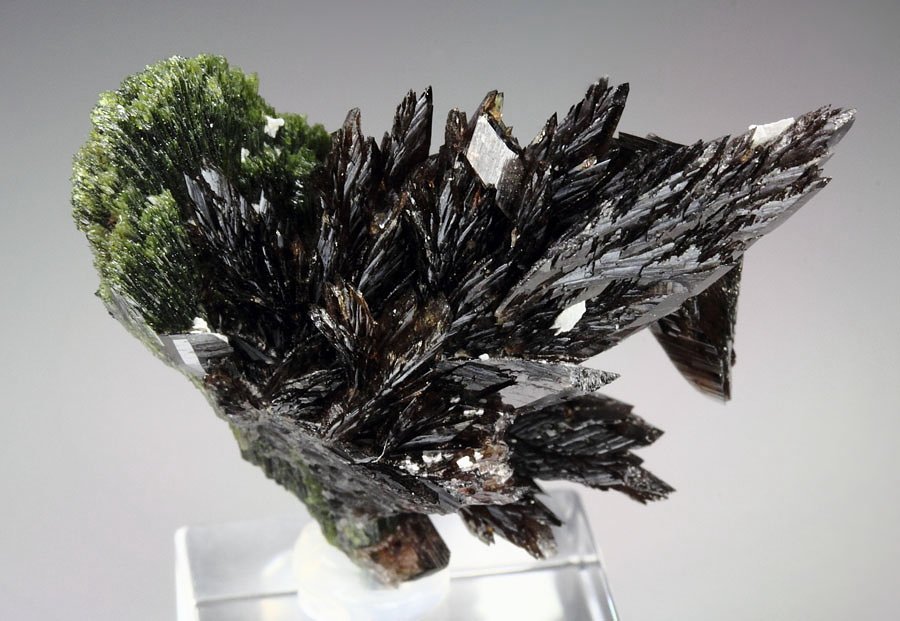 new find - AXINITE-Fe, EPIDOTE