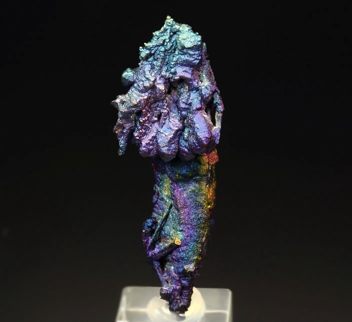 CHALCOCITE, DJURLEITE, iridescent CHALCOPYRITE 