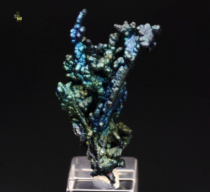 CHALCOCITE, DJURLEITE, iridescent CHALCOPYRITE