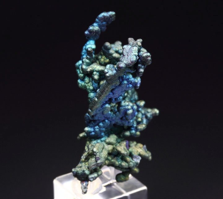 CHALCOCITE, DJURLEITE, iridescent CHALCOPYRITE