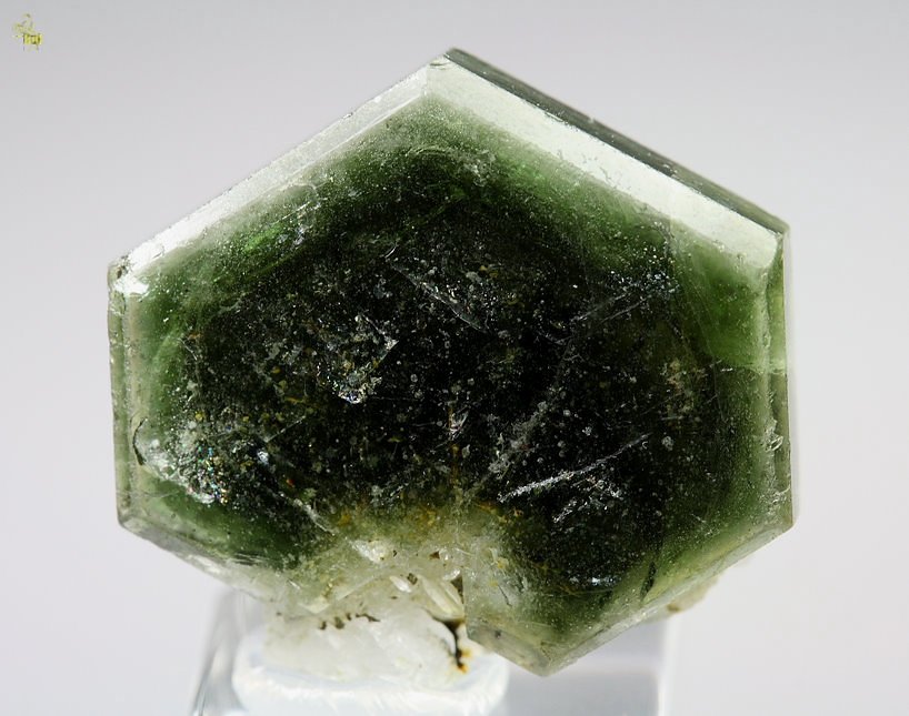 gem FLUORAPATITE