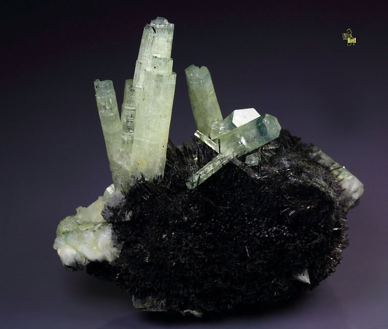 bi-color BERYL var. AQUAMARINE, TOURMALINE var. SCHORL