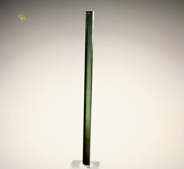 gem TOURMALINE var. ELBAITE