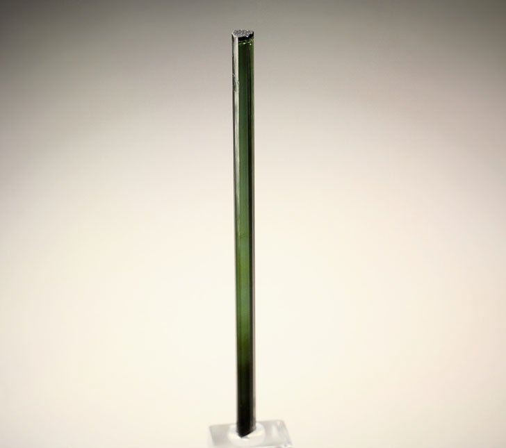 gem TOURMALINE var. ELBAITE