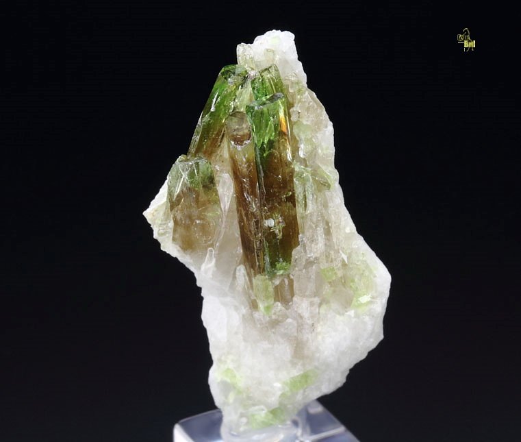 gem DIOPSIDE bi-color