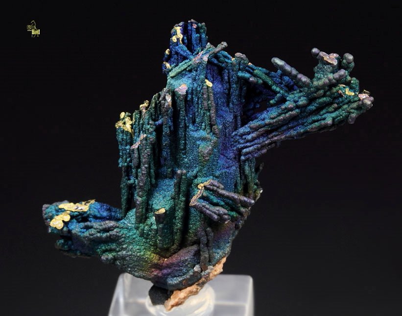 CHALCOCITE, DJURLEITE, iridescent CHALCOPYRITE