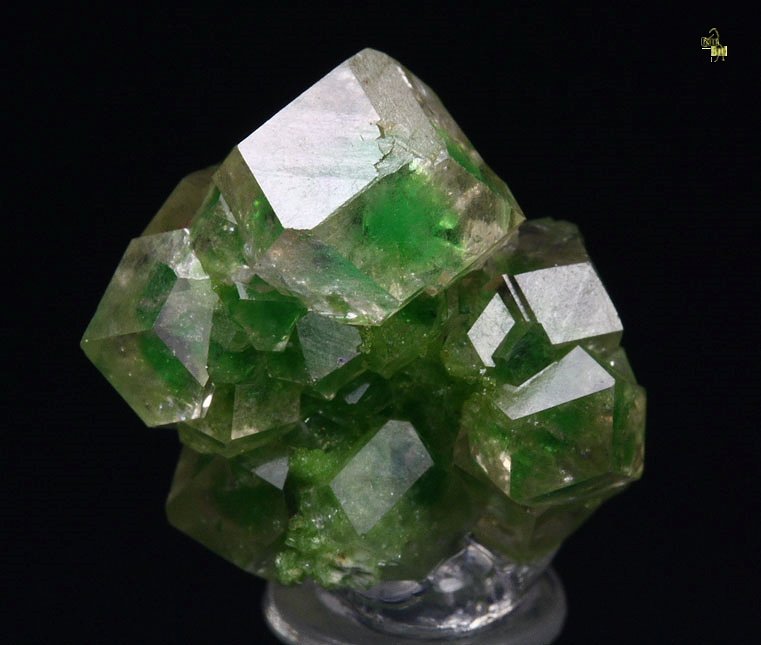 GARNET var. GROSSULAR with GREEN PHANTOMS, DIOPSIDE