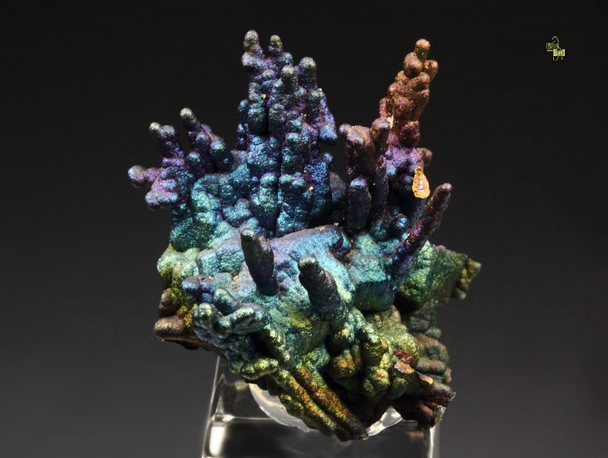 CHALCOCITE, DJURLEITE, iridescent CHALCOPYRITE