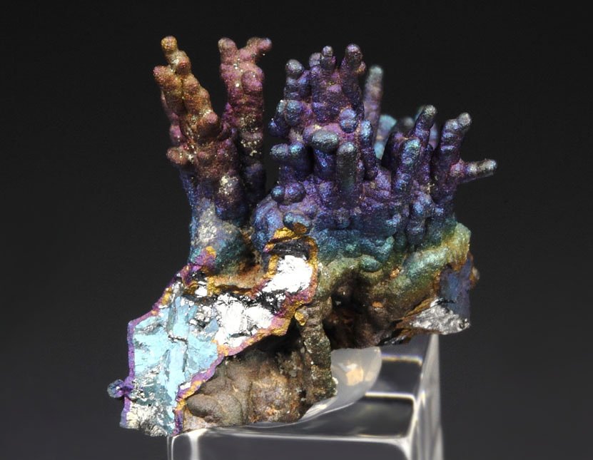 CHALCOCITE, DJURLEITE, iridescent CHALCOPYRITE