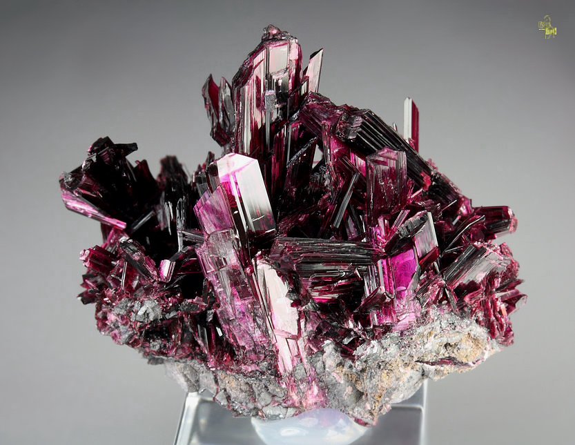 gemmy ERYTHRITE