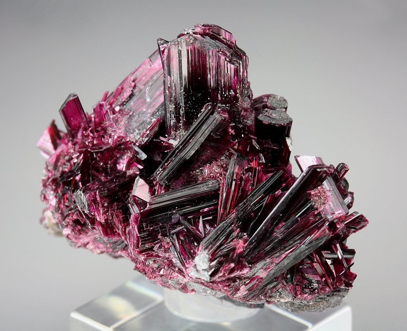 gemmy ERYTHRITE