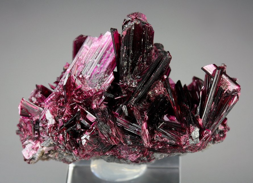 gemmy ERYTHRITE