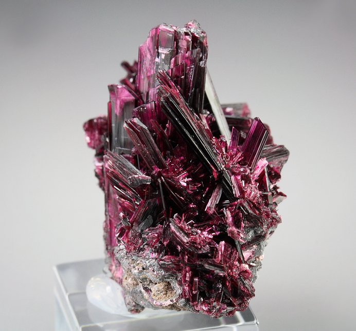 gemmy ERYTHRITE