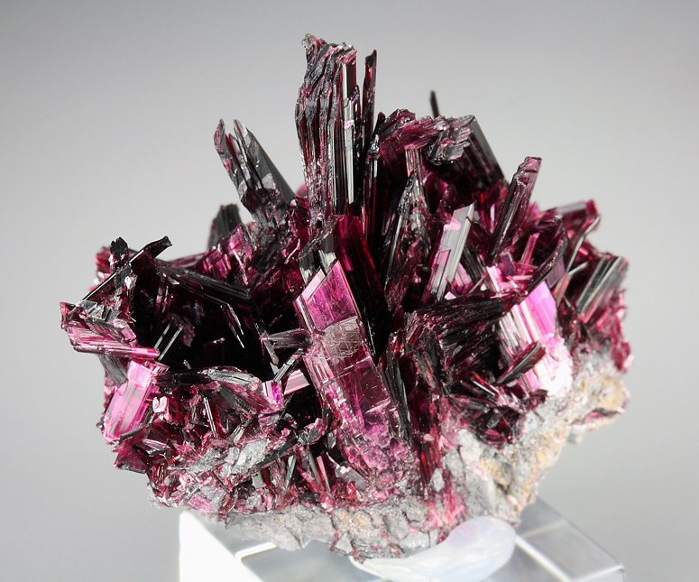 gemmy ERYTHRITE