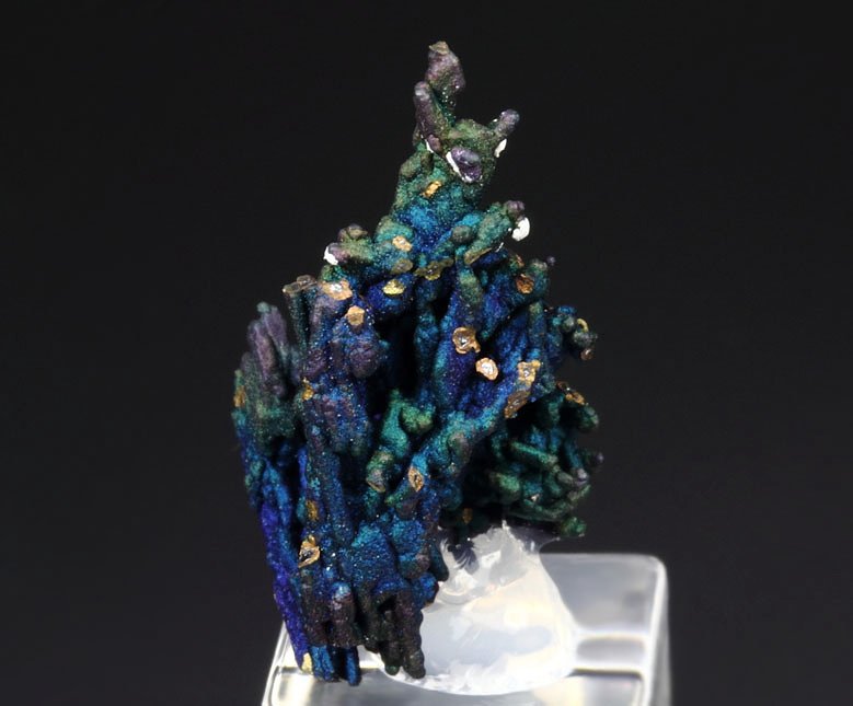 CHALCOCITE, DJURLEITE, iridescent CHALCOPYRITE