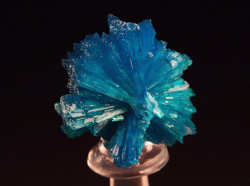 CAVANSITE bow tie