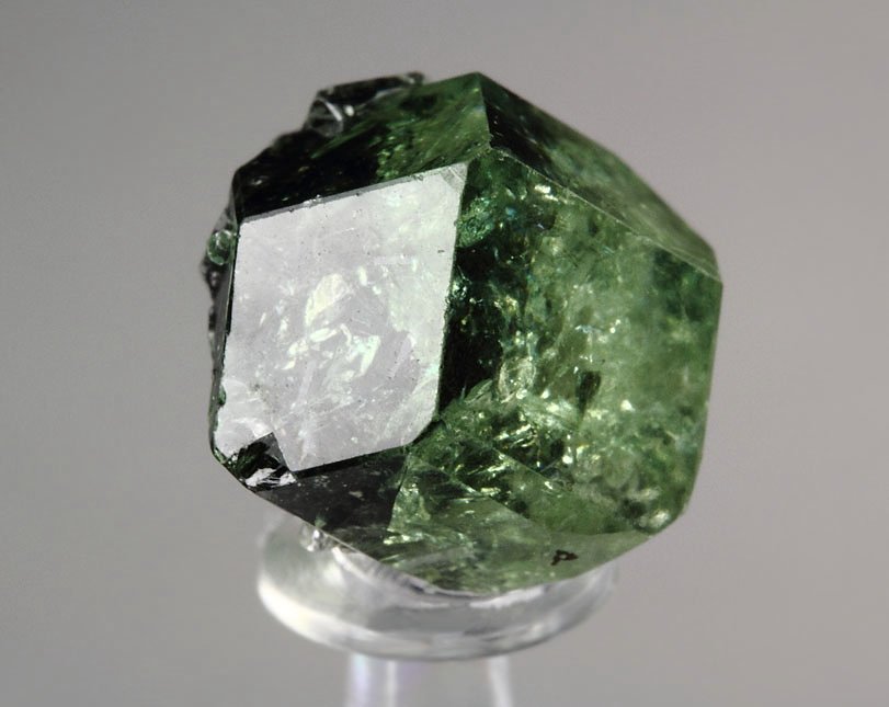 gem GARNET var. GROSSULAR var. TSAVORITE