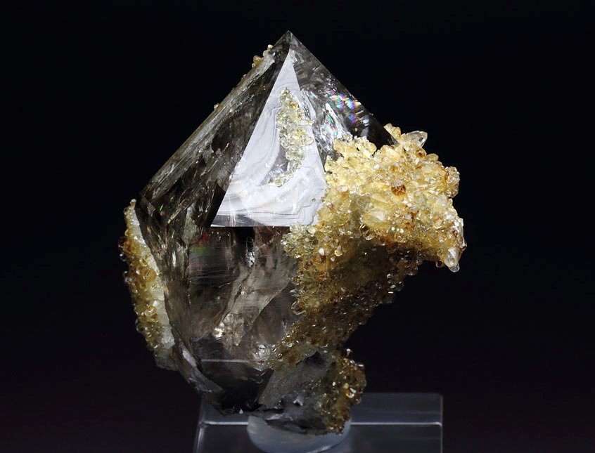 two generations QUARTZ var. SMOKY