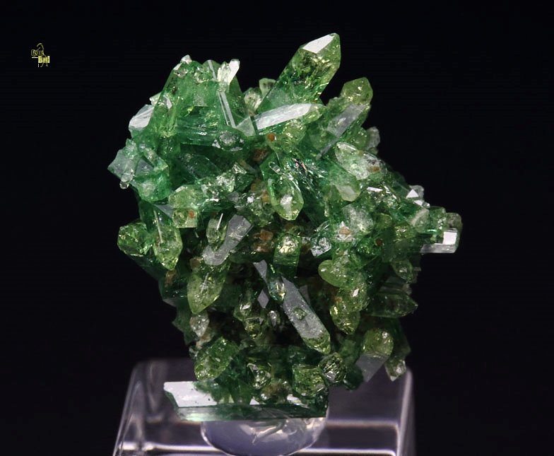 gem VESUVIANITE var. CHROMIAN