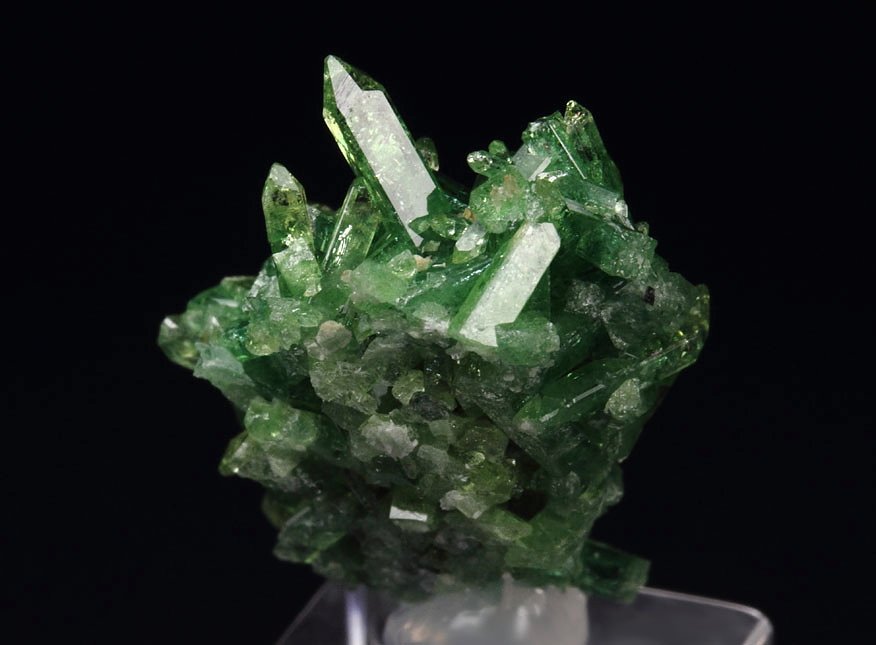 gem VESUVIANITE var. CHROMIAN