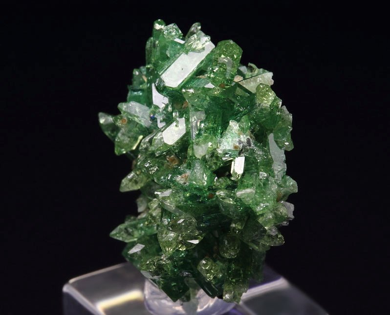 gem VESUVIANITE var. CHROMIAN