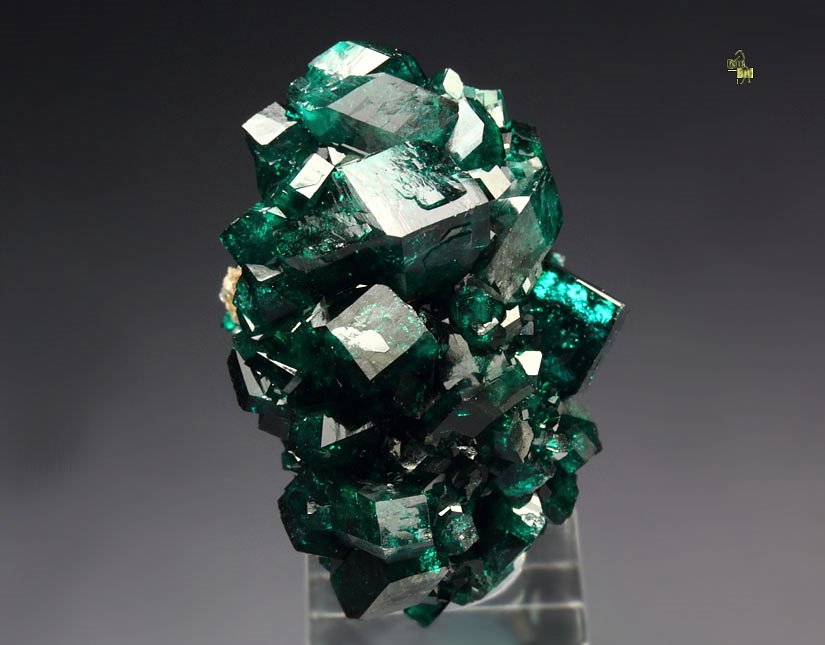 gem DIOPTASE, CALCITE