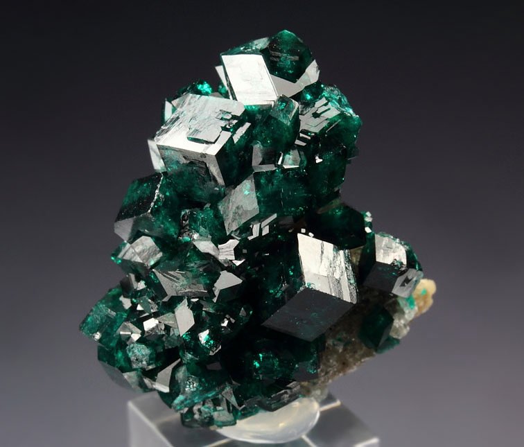 gem DIOPTASE, CALCITE