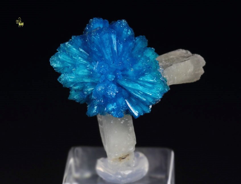 CAVANSITE bow tie, STILBITE