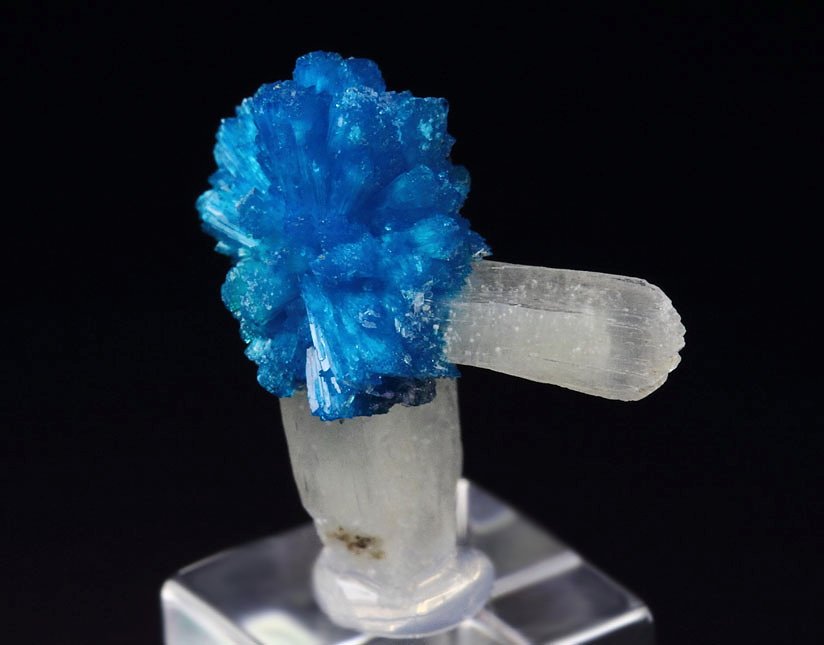 CAVANSITE bow tie, STILBITE