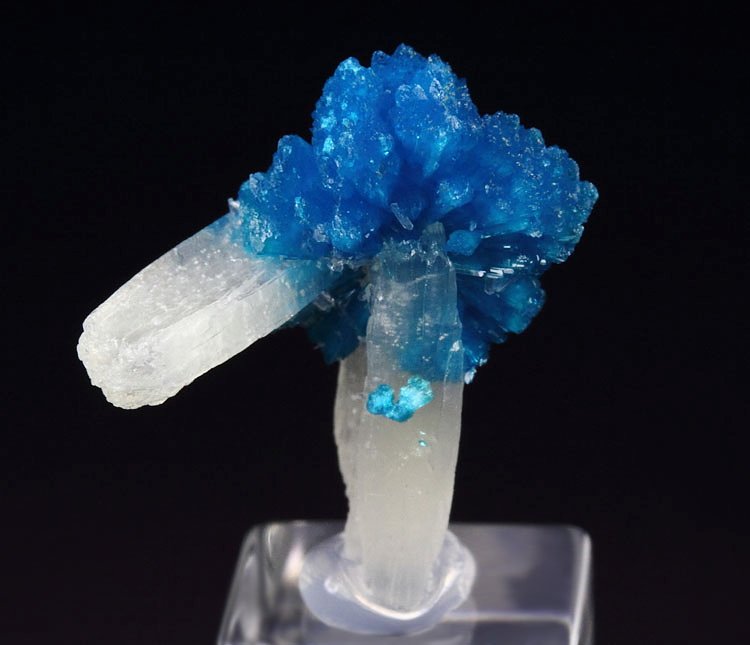 CAVANSITE bow tie, STILBITE