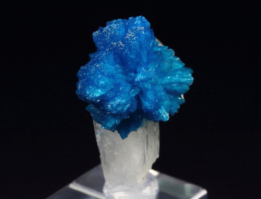 CAVANSITE bow tie, STILBITE