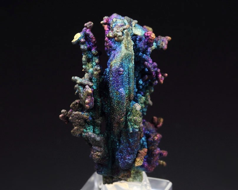 CHALCOCITE, DJURLEITE, iridescent CHALCOPYRITE