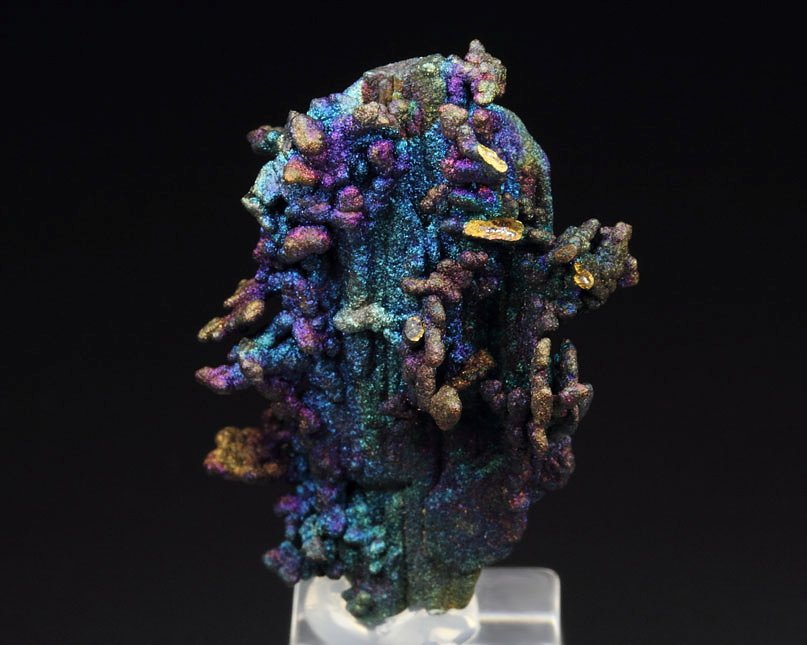 CHALCOCITE, DJURLEITE, iridescent CHALCOPYRITE