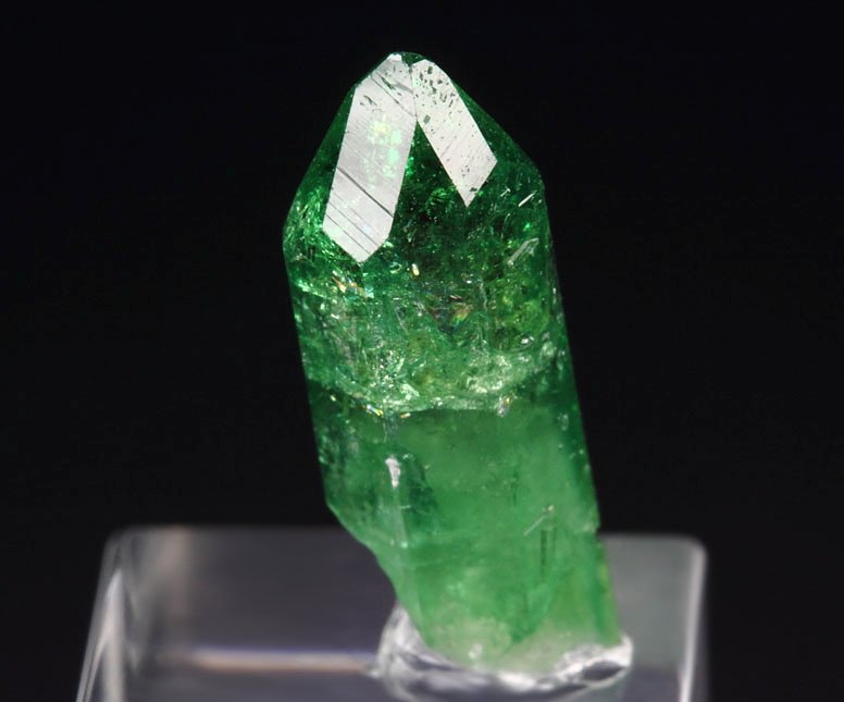 gem VESUVIANITE var. CHROMIAN