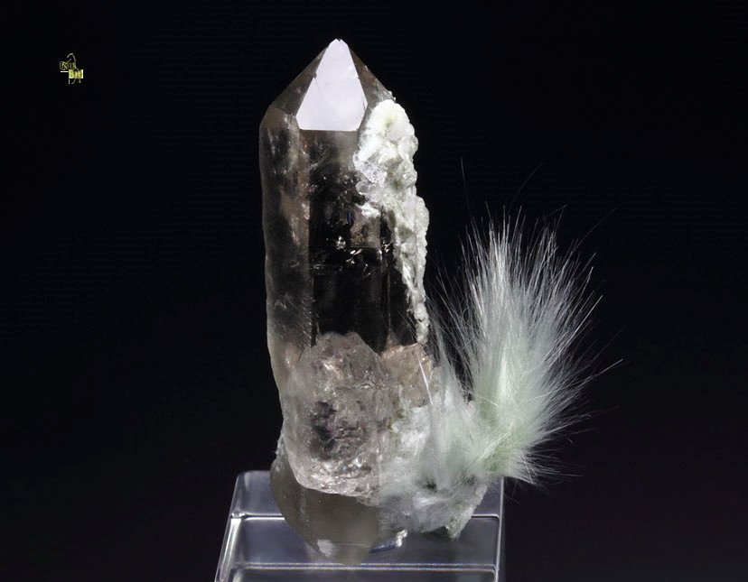 AMPHIBOLE GROUP var. BYSSOLITE, QUARTZ var. SMOKY