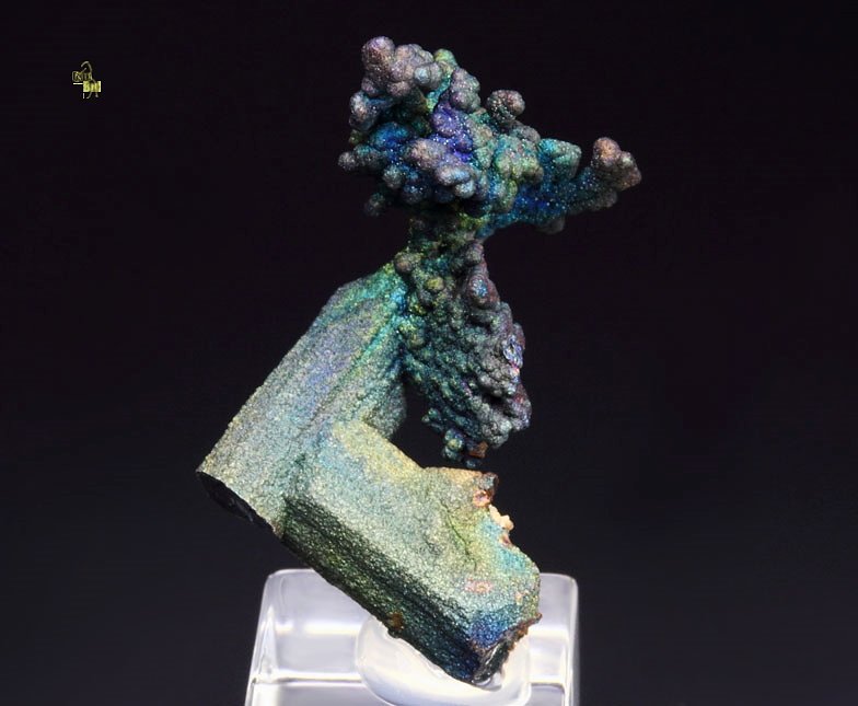 CHALCOCITE, DJURLEITE, iridescent CHALCOPYRITE