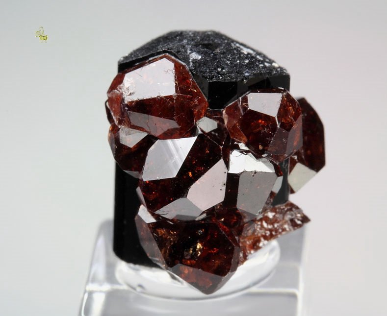 gem GARNET var. SPESSARTINE, TOURMALINE var. SCHORL