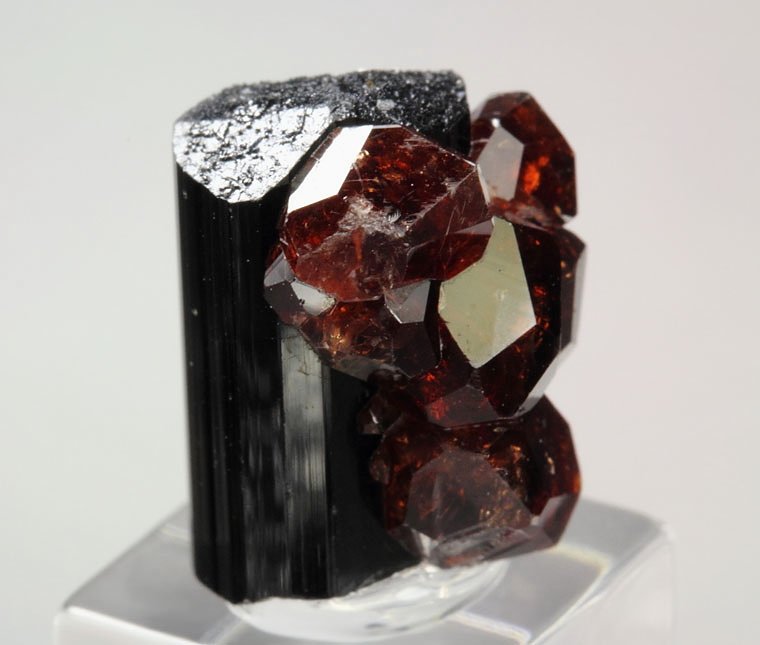 gem GARNET var. SPESSARTINE, TOURMALINE var. SCHORL