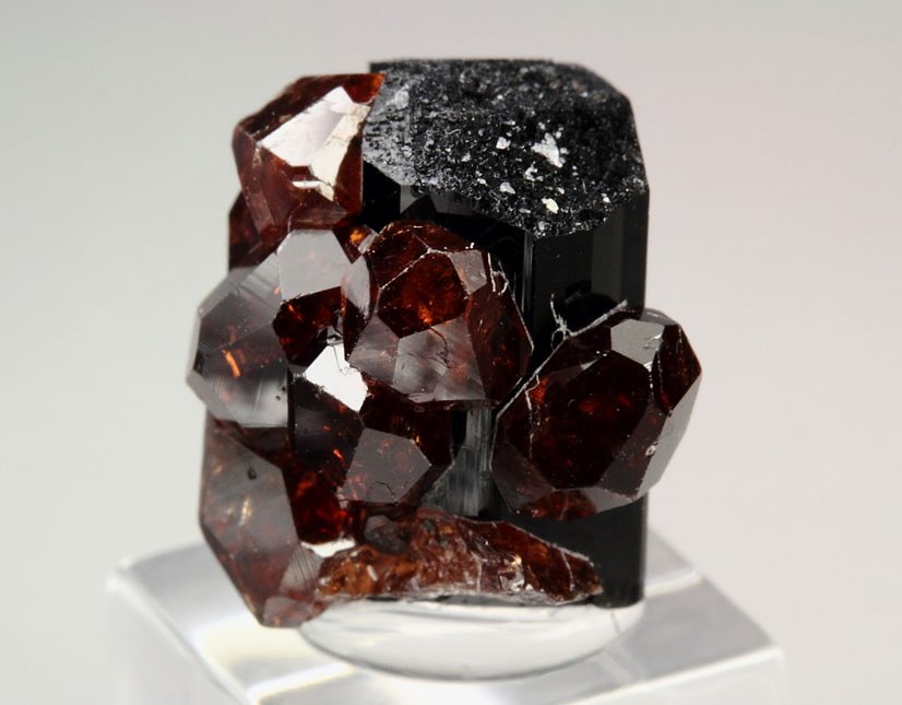 gem GARNET var. SPESSARTINE, TOURMALINE var. SCHORL