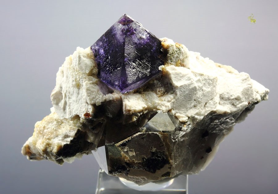 rare - FLUORITE with phantoms, QUARTZ var. SMOKY, GARNET var. SPESSARTINE, MICROCLINE